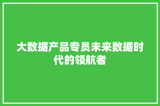 大数据产品专员未来数据时代的领航者  第1张