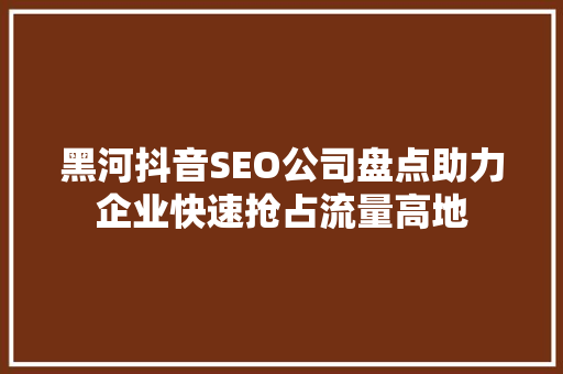 黑河抖音SEO公司盘点助力企业快速抢占流量高地