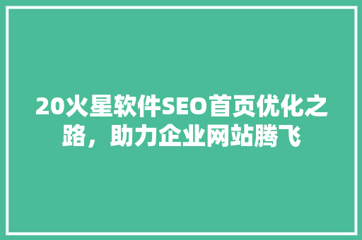 20火星软件SEO首页优化之路，助力企业网站腾飞