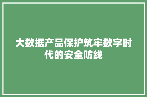 大数据产品保护筑牢数字时代的安全防线  第1张