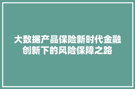 大数据产品保险新时代金融创新下的风险保障之路  第1张