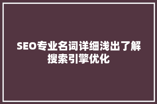SEO专业名词详细浅出了解搜索引擎优化