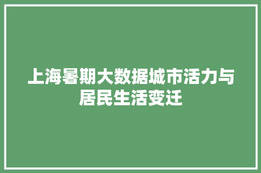上海暑期大数据城市活力与居民生活变迁