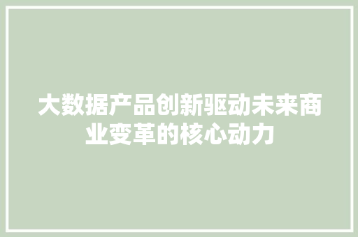 大数据产品创新驱动未来商业变革的核心动力