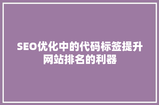 SEO优化中的代码标签提升网站排名的利器