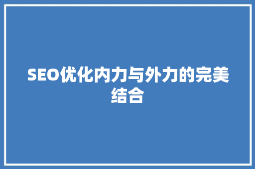 SEO优化内力与外力的完美结合