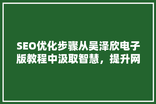 SEO优化步骤从吴泽欣电子版教程中汲取智慧，提升网站排名