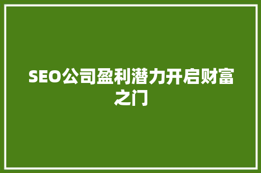 SEO公司盈利潜力开启财富之门