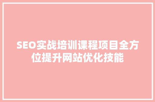SEO实战培训课程项目全方位提升网站优化技能