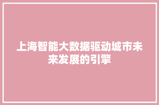 上海智能大数据驱动城市未来发展的引擎