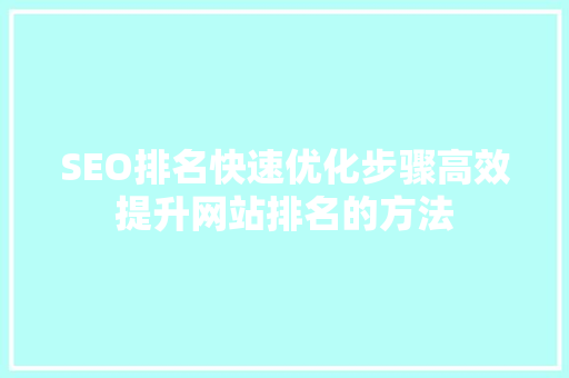 SEO排名快速优化步骤高效提升网站排名的方法