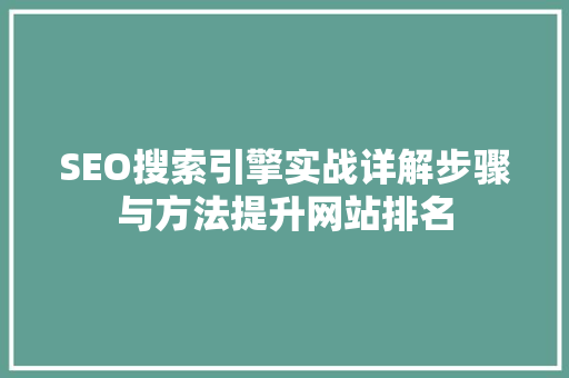 SEO搜索引擎实战详解步骤与方法提升网站排名