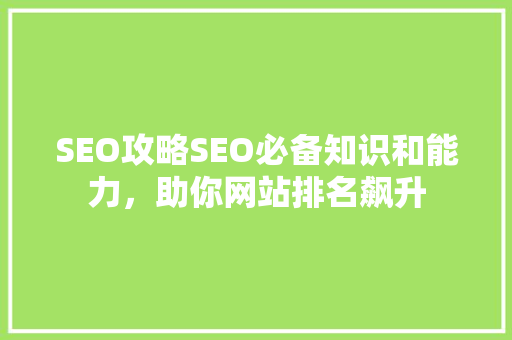 SEO攻略SEO必备知识和能力，助你网站排名飙升