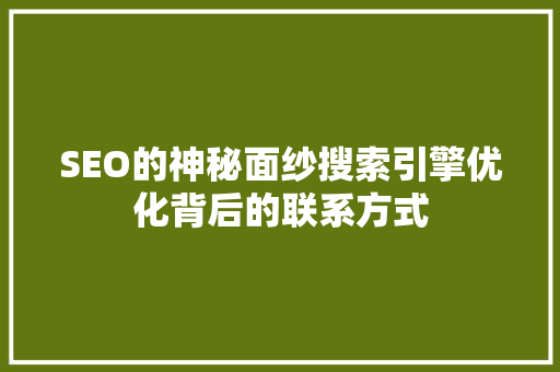 SEO的神秘面纱搜索引擎优化背后的联系方式