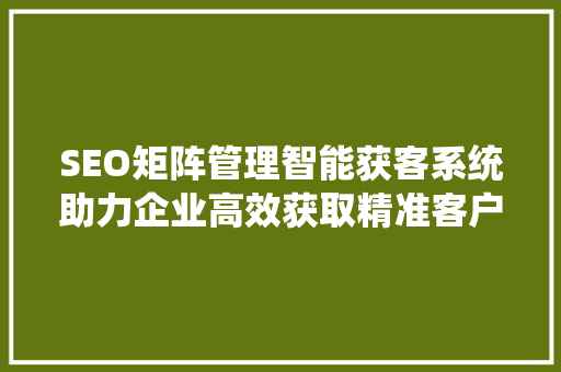 SEO矩阵管理智能获客系统助力企业高效获取精准客户