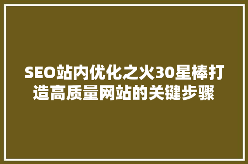 SEO站内优化之火30星棒打造高质量网站的关键步骤
