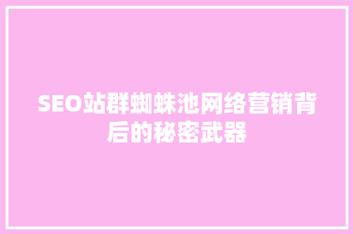 SEO站群蜘蛛池网络营销背后的秘密武器