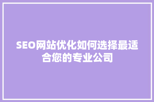 SEO网站优化如何选择最适合您的专业公司  第1张