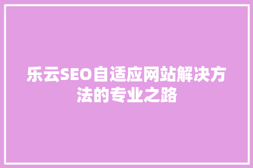 乐云SEO自适应网站解决方法的专业之路