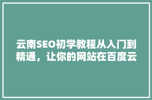 云南SEO初学教程从入门到精通，让你的网站在百度云上脱颖而出  第1张