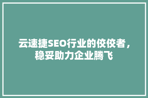 云速捷SEO行业的佼佼者，稳妥助力企业腾飞