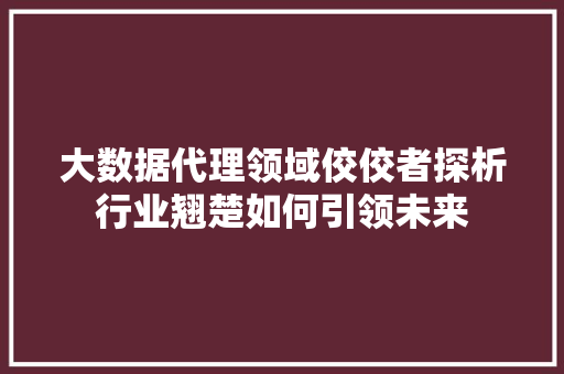 大数据代理领域佼佼者探析行业翘楚如何引领未来  第1张