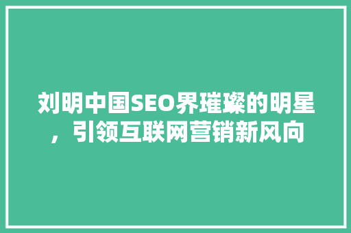 刘明中国SEO界璀璨的明星，引领互联网营销新风向