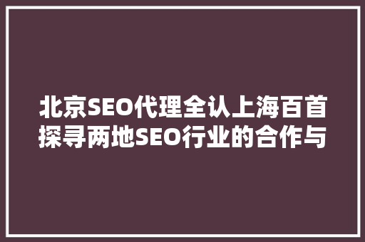 北京SEO代理全认上海百首探寻两地SEO行业的合作与发展