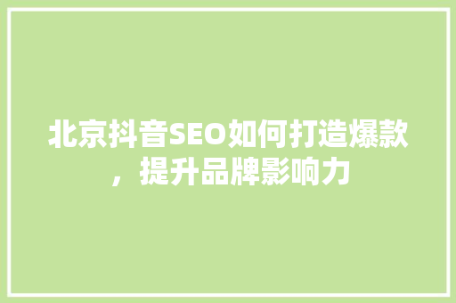 北京抖音SEO如何打造爆款，提升品牌影响力