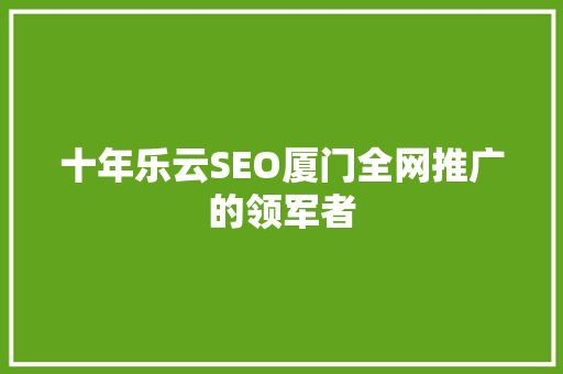 十年乐云SEO厦门全网推广的领军者