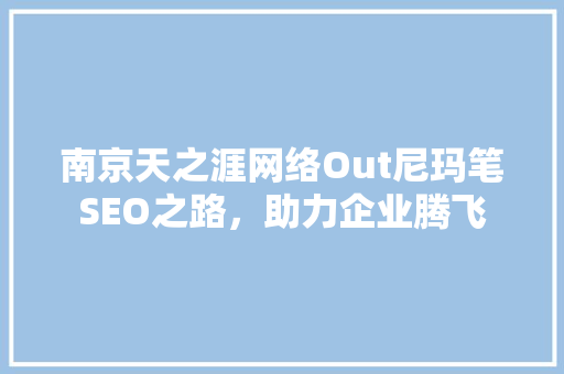 南京天之涯网络Out尼玛笔SEO之路，助力企业腾飞