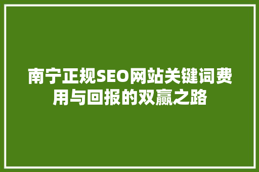 南宁正规SEO网站关键词费用与回报的双赢之路