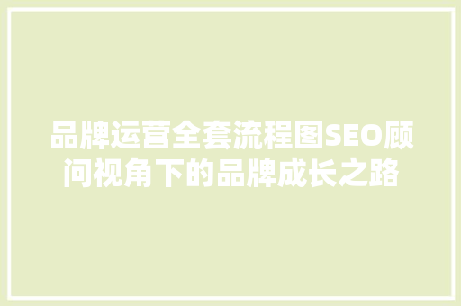 品牌运营全套流程图SEO顾问视角下的品牌成长之路