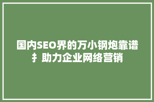 国内SEO界的万小钢炮靠谱扌助力企业网络营销