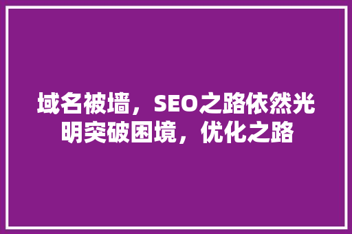 域名被墙，SEO之路依然光明突破困境，优化之路