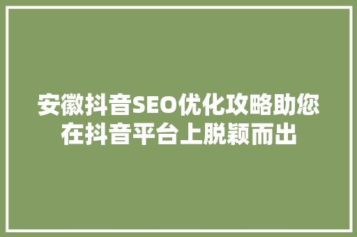 安徽抖音SEO优化攻略助您在抖音平台上脱颖而出