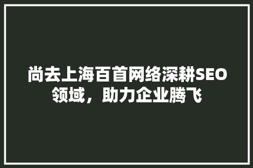 尚去上海百首网络深耕SEO领域，助力企业腾飞