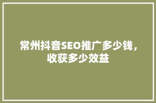 常州抖音SEO推广多少钱，收获多少效益