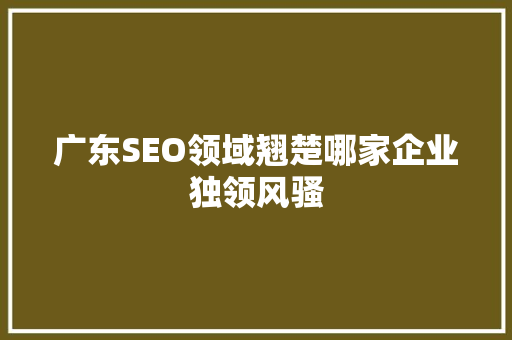 广东SEO领域翘楚哪家企业独领风骚