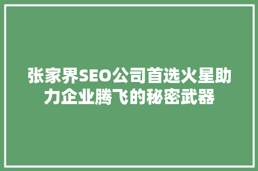 张家界SEO公司首选火星助力企业腾飞的秘密武器