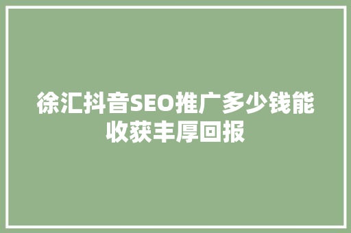 徐汇抖音SEO推广多少钱能收获丰厚回报