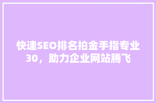 快速SEO排名拍金手指专业30，助力企业网站腾飞