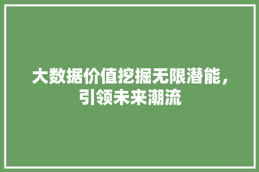 大数据价值挖掘无限潜能，引领未来潮流