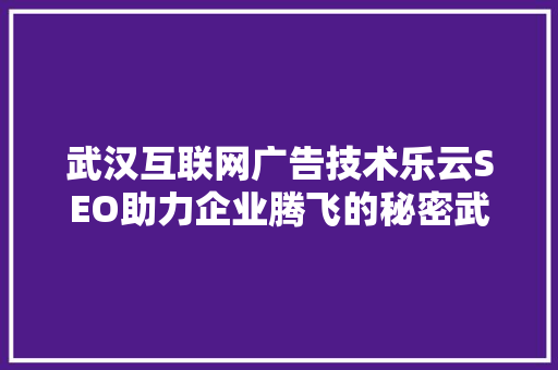 武汉互联网广告技术乐云SEO助力企业腾飞的秘密武器