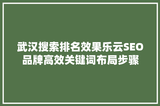 武汉搜索排名效果乐云SEO品牌高效关键词布局步骤