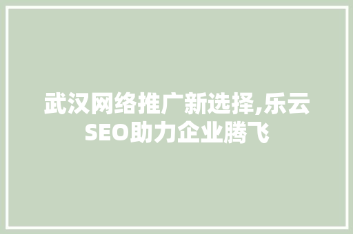 武汉网络推广新选择,乐云SEO助力企业腾飞