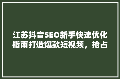 江苏抖音SEO新手快速优化指南打造爆款短视频，抢占流量高地