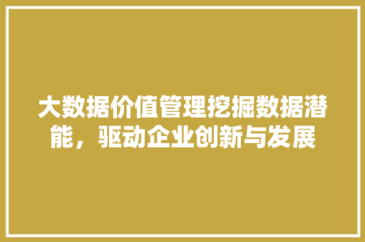 大数据价值管理挖掘数据潜能，驱动企业创新与发展