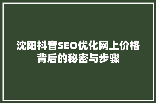沈阳抖音SEO优化网上价格背后的秘密与步骤