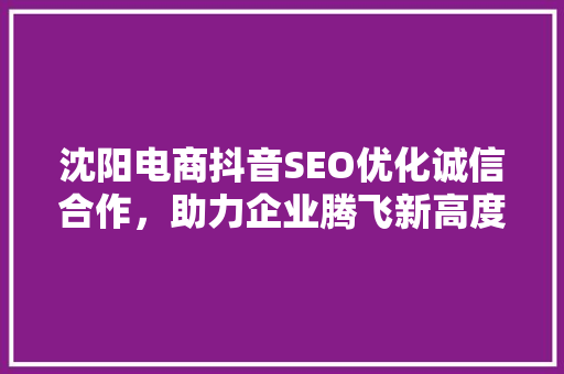 沈阳电商抖音SEO优化诚信合作，助力企业腾飞新高度